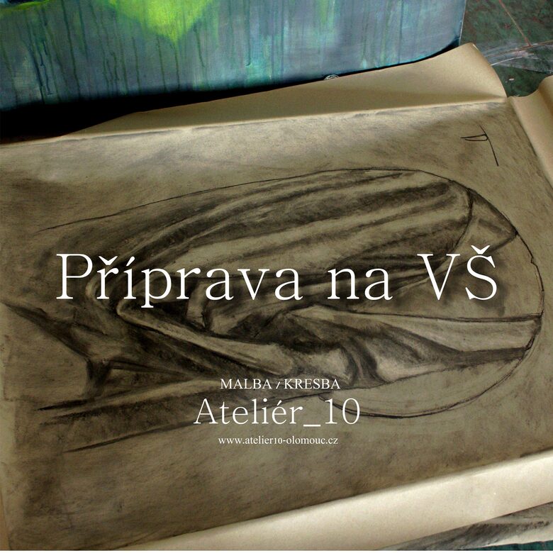 Příprava na talentové zkoušky VŠ | Příprava o délce 48 hodin