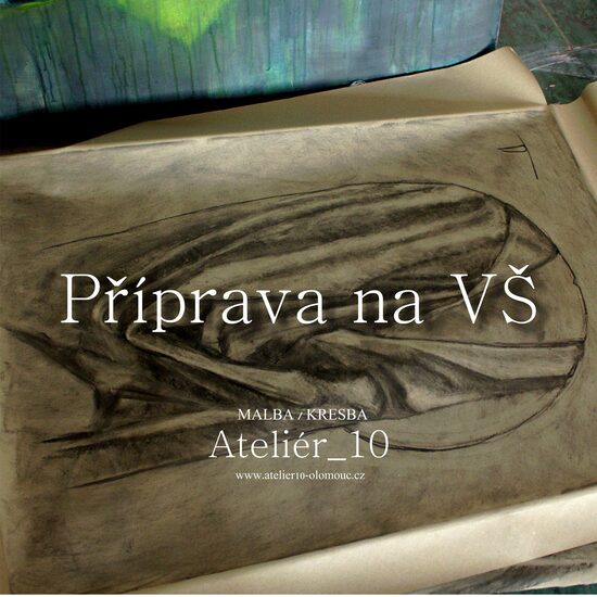 Příprava na talentové zkoušky VŠ | Příprava o délce 48 hodin