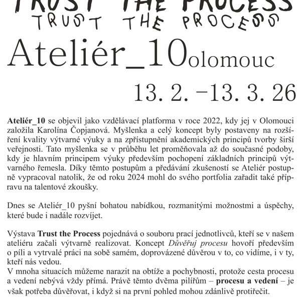 Anotace k výstavě Trust the process