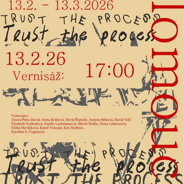 Plakát k výstavě Trust the process